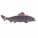 Baited Abyssal Nobilis Spot